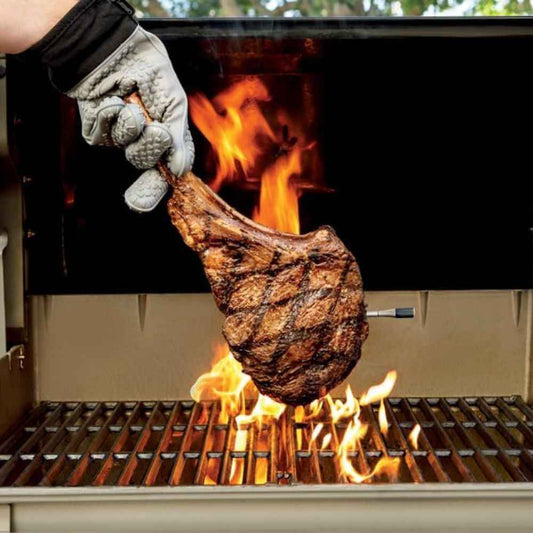 Termómetro Inalámbrico Ninja ProChef | Sonda Bluetooth de Largo Alcance | Para Parrilla, Horno y Freidora de Aire