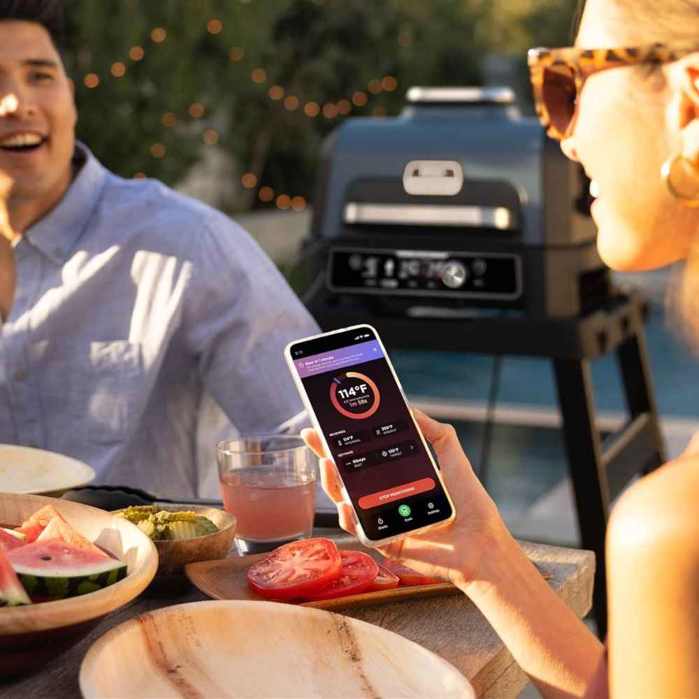 Termómetro Inalámbrico Ninja ProChef | Sonda Bluetooth de Largo Alcance | Para Parrilla, Horno y Freidora de Aire