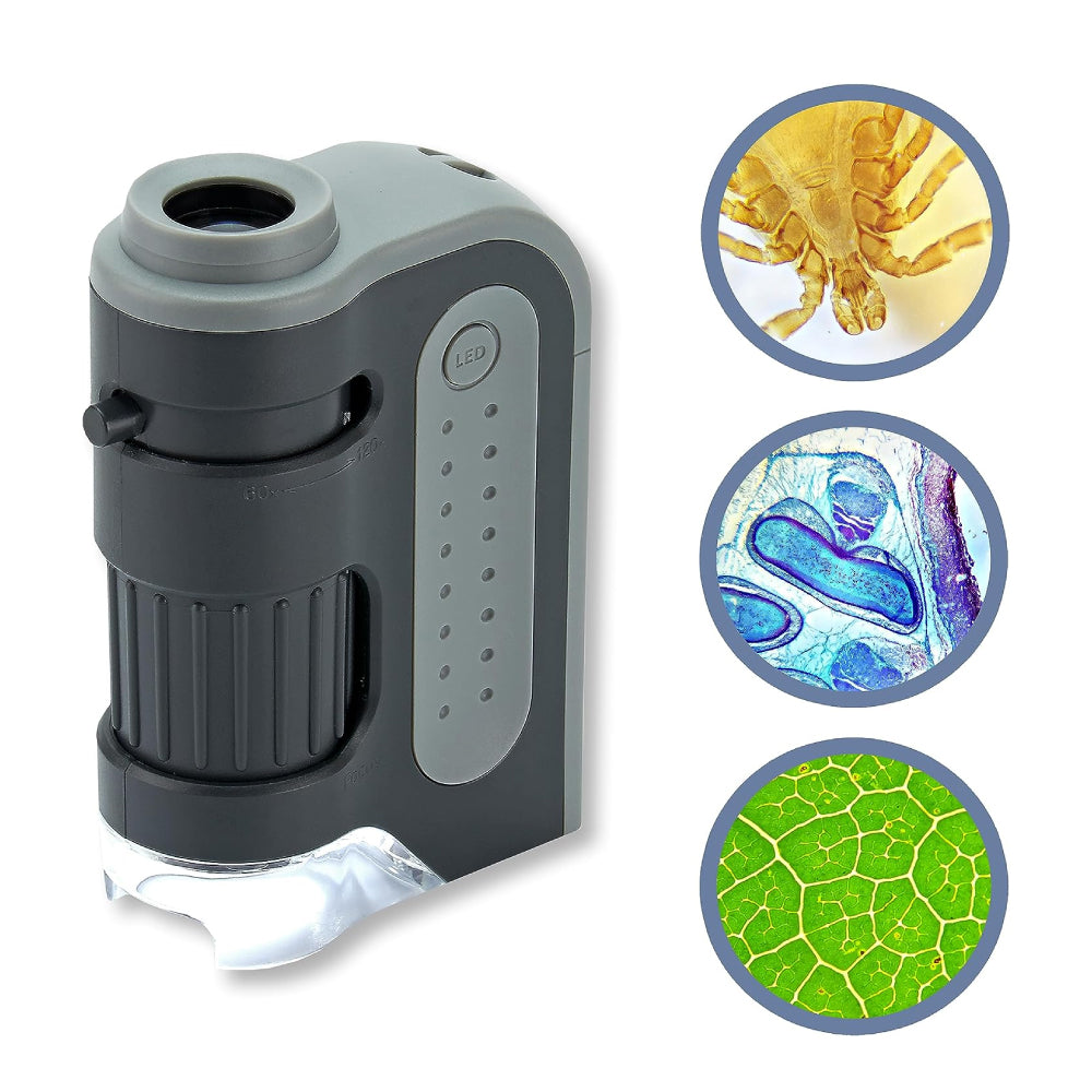 Microscopio de bolsillo Carson MicroBrite Plus 60x 120x con iluminación de energía LED (MM-300)