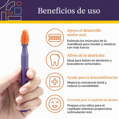 Cepillos Bucales Sensoriales para Estimulación Oral - Special Supplies