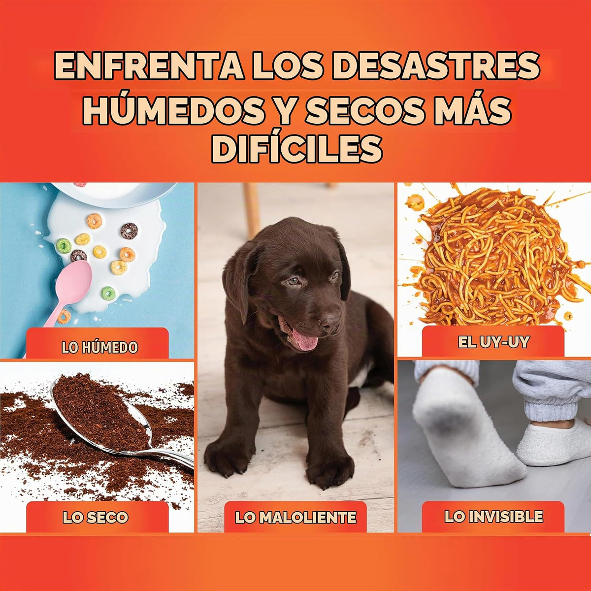 Aspiradora en Seco y Húmedo Inalámbrica 3 en 1 - Shark HydroVac MessMaster –