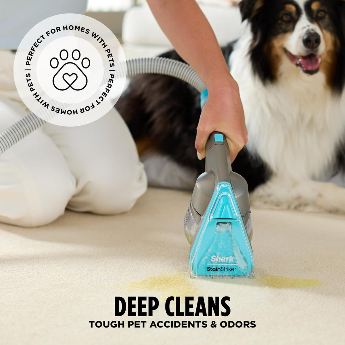 Shark CarpetXpert HairPro con StainStriker | Limpiadora de Alfombras, Manchas y Pelo de Mascotas