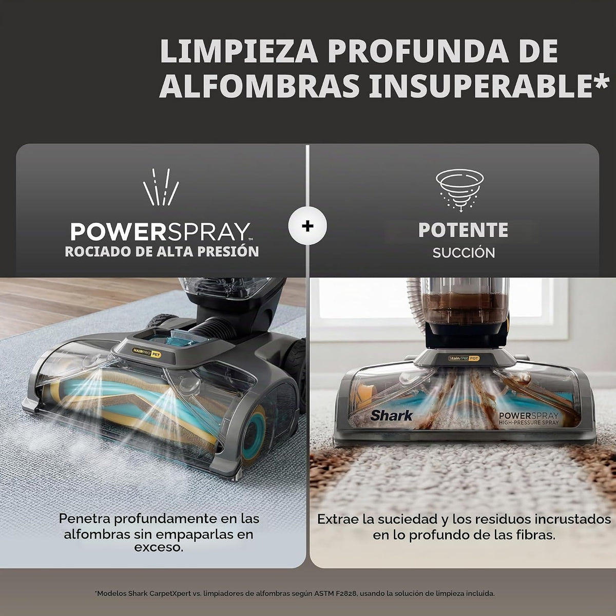Shark CarpetXpert HairPro con StainStriker | Limpiadora de Alfombras, Manchas y Pelo de Mascotas