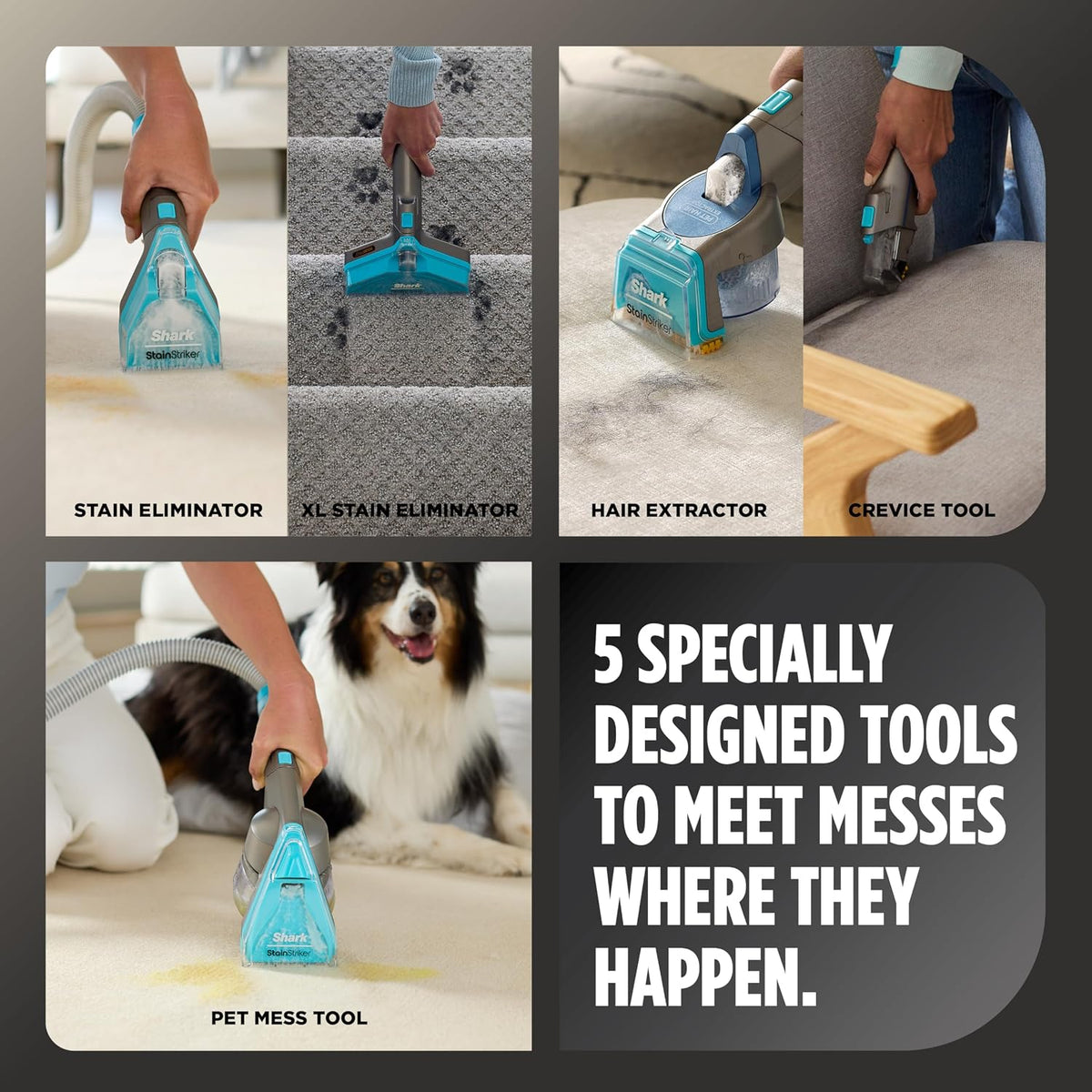 Shark CarpetXpert HairPro con StainStriker | Limpiadora de Alfombras, Manchas y Pelo de Mascotas